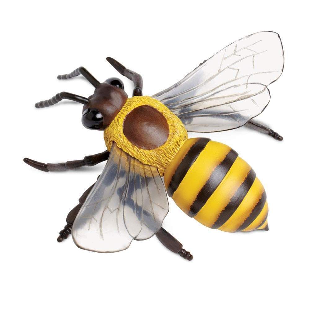 Honey Bee Toy-4