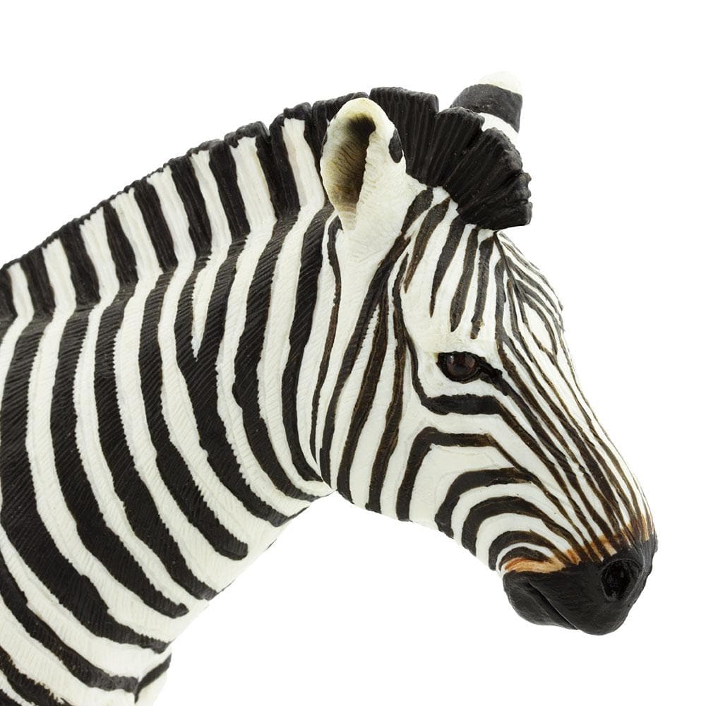 Zebra Toy-3