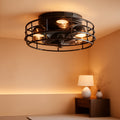 Caged Ceiling Fan With Vintage Industrial Lighting-0