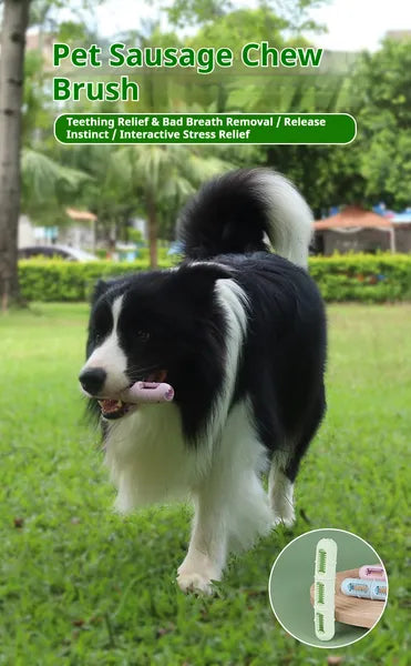 aae448d7af05fed912112a962cb0ae5b