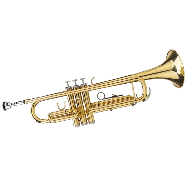 57d64e4655558bf18756d00831563f2e