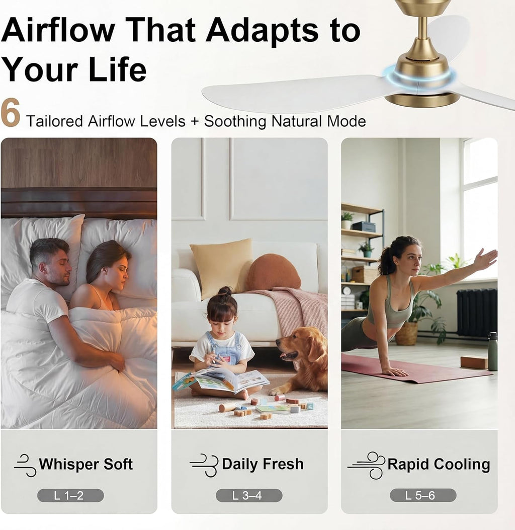 Forty Two Inches Contemporary Ceiling Fan With Dimmable LED-4