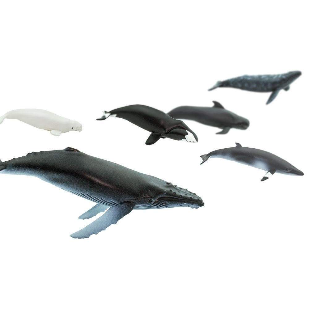 Whale Toys TOOB®
