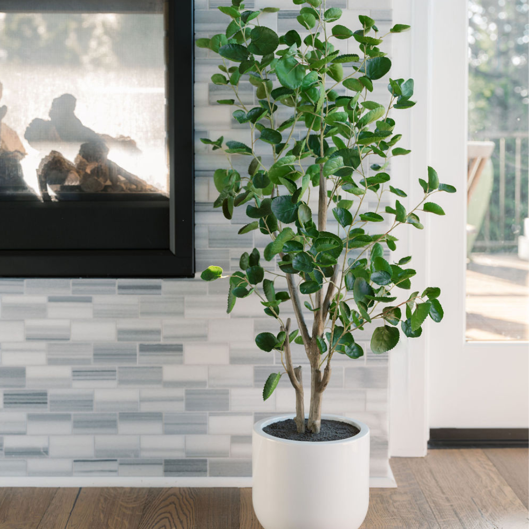 Artificial Eucalyptus Tree with White Pot-2