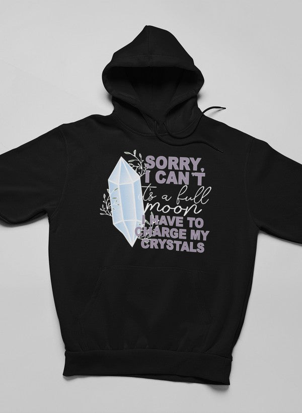 Sorry i can't Hoodie-0