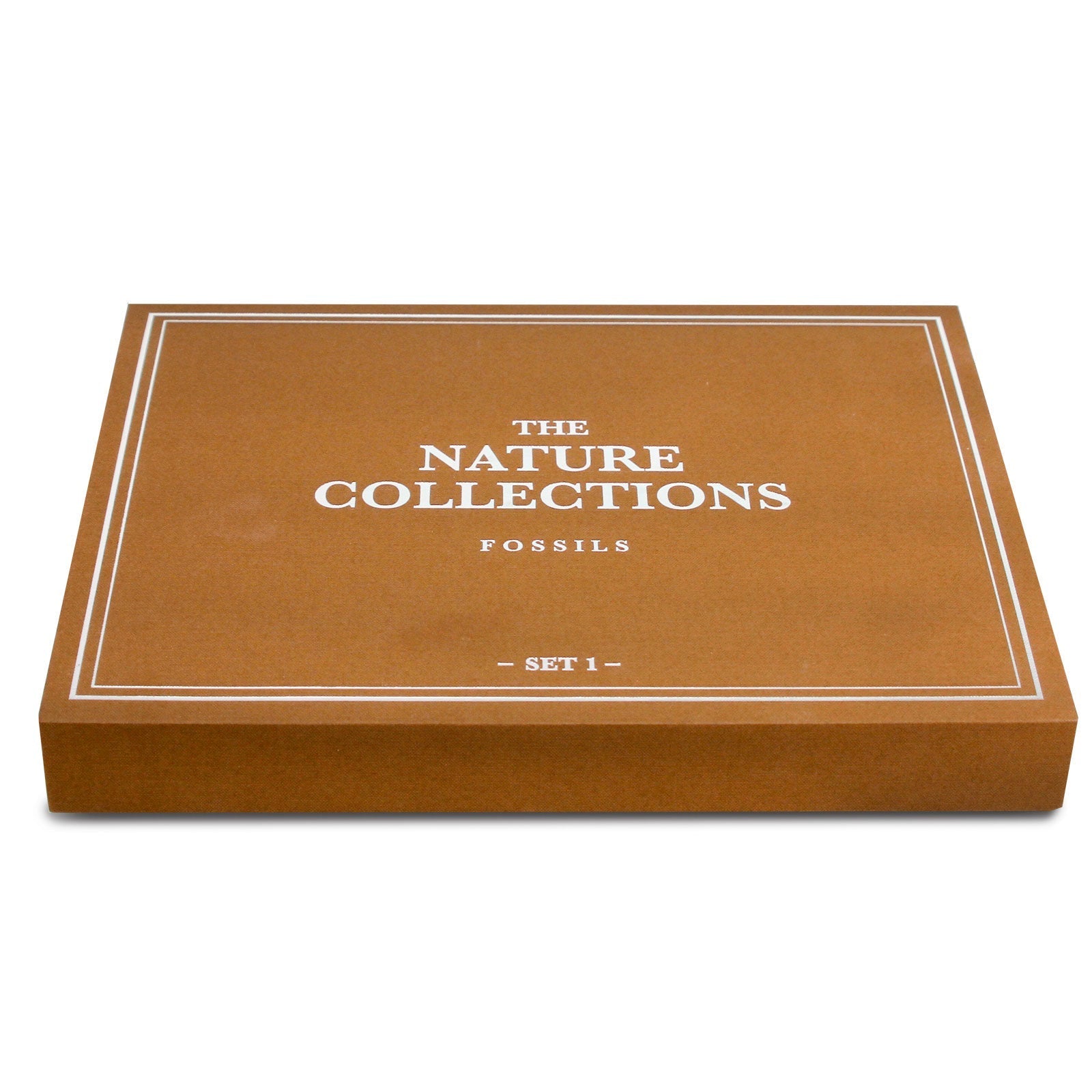 The Nature Collection - Fossils Set 1-1