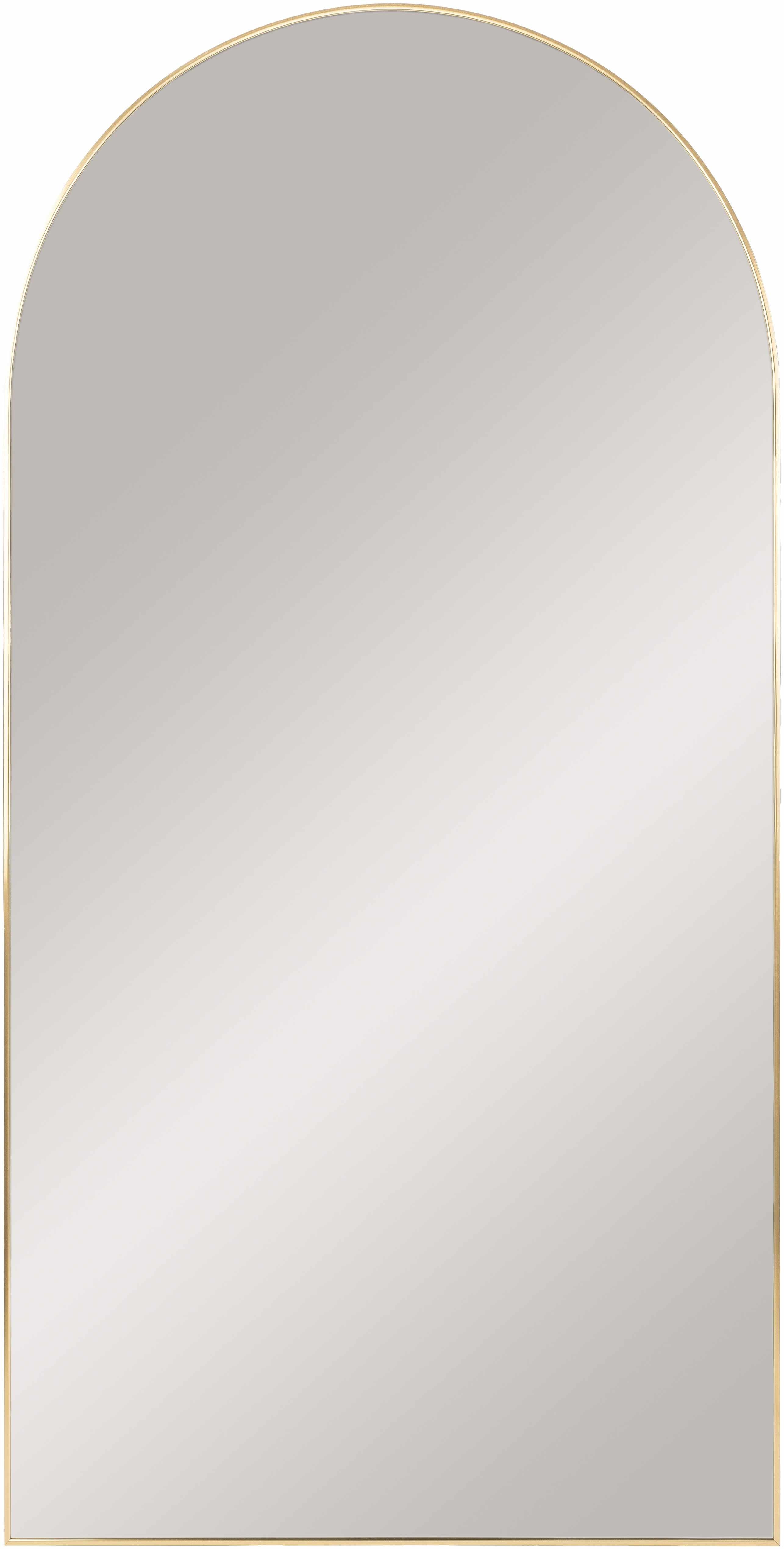Anipovka Mirror-0