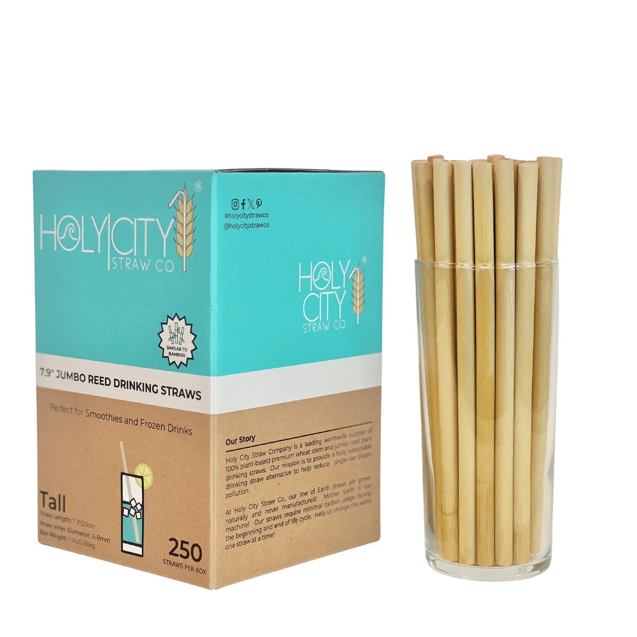 7.9" Jumbo Reed Straws-3