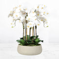 Artificial orchid centerpiece arrangement in beige planter - 28"-0