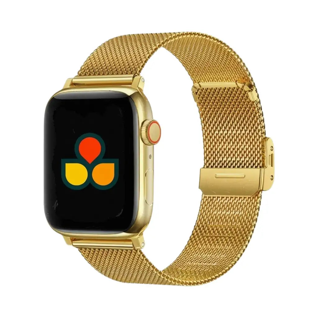 Milan Steel Strap-4