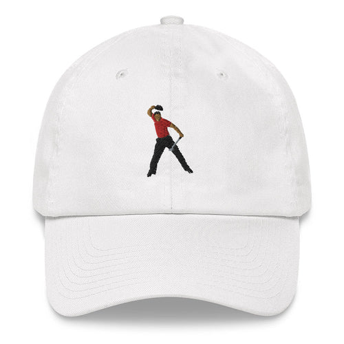 2008 Dad hat-0