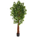 Artificial Ficus Tree 6.5’-0